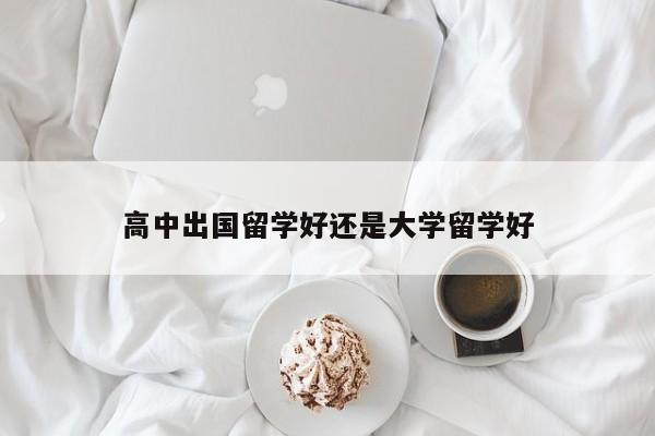 高中出国留学好还是大学留学好